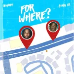 Bayanni – For Where Ft. Zerrydl