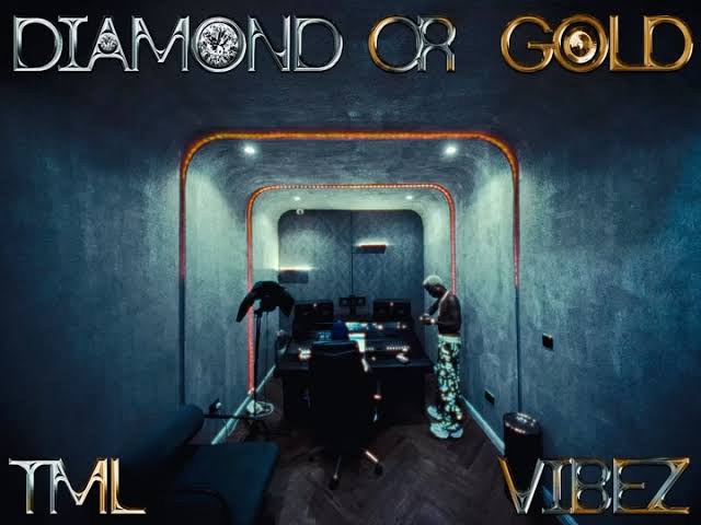 Tml Vibez – Diamond Or Gold