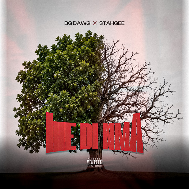 BG Dawg – Ihe Di Nma Ft. Stahgee